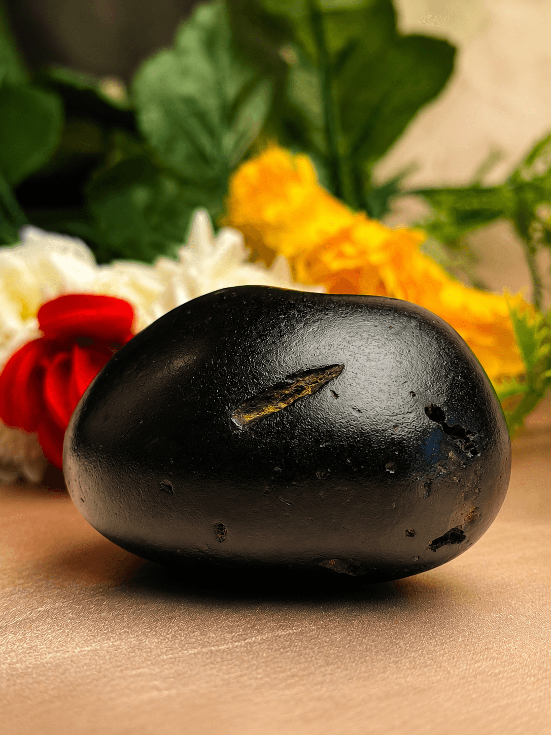 Rules for Keeping Shaligram at Home: Daily Puja & Dos and Don'ts