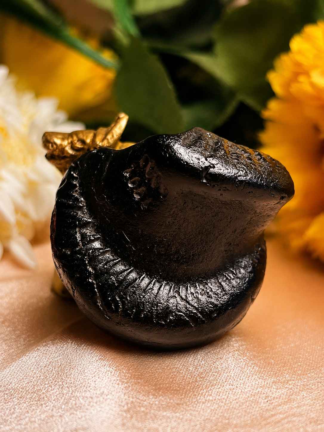 Shaligram Stone Benefits: Spiritual & Astrological Powers