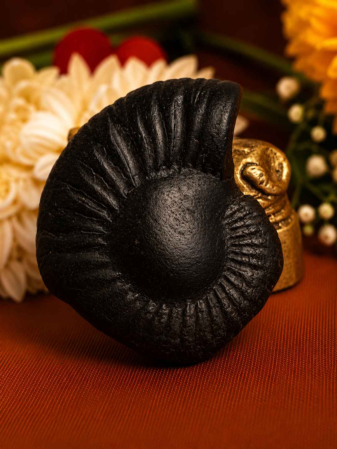 Types of Shaligram Stones: Identifying Names, Avatars & Chakras