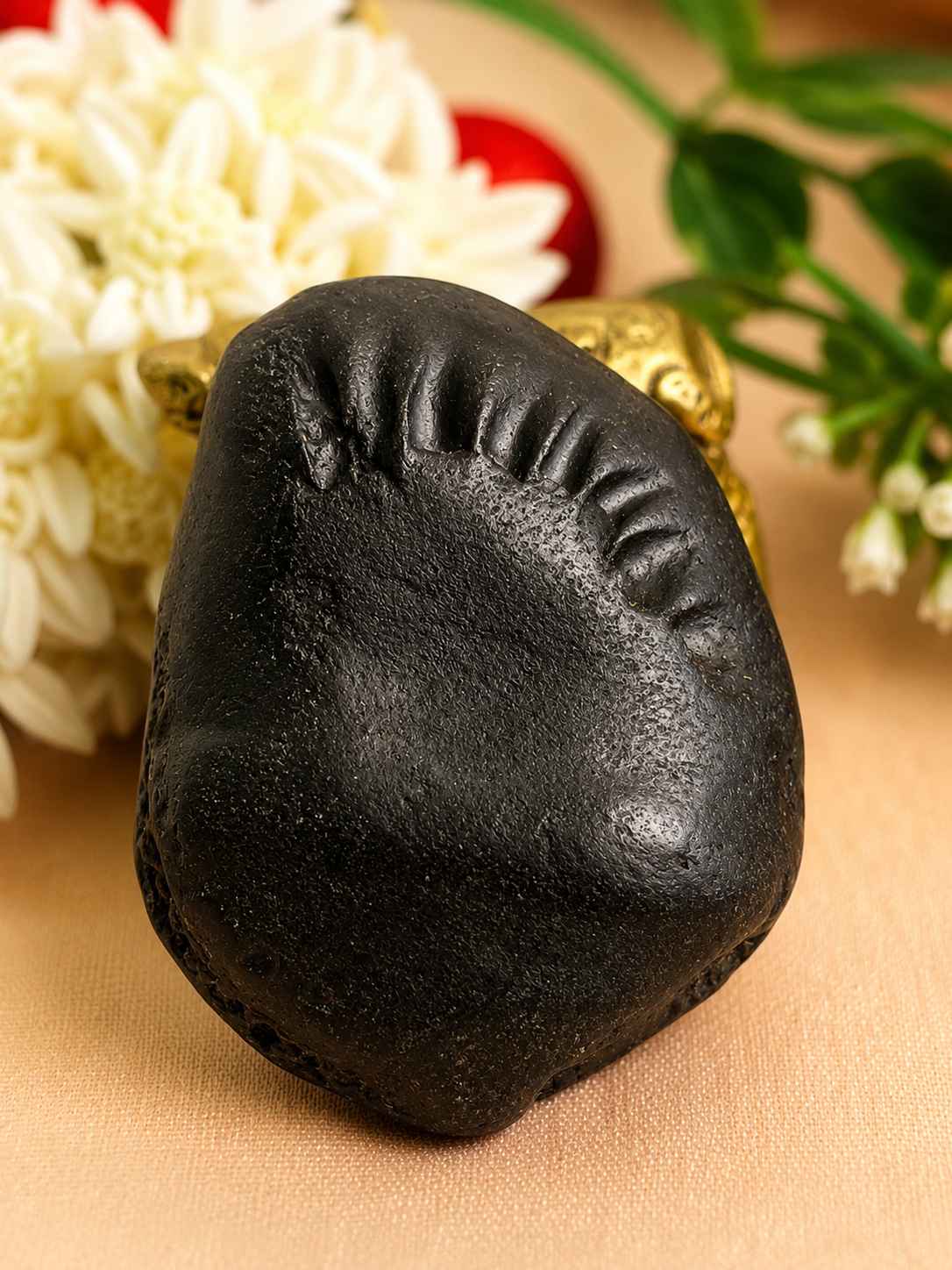 Tulsi and Shaligram: The Sacred Bond, Vivah Vidhi & Benefits
