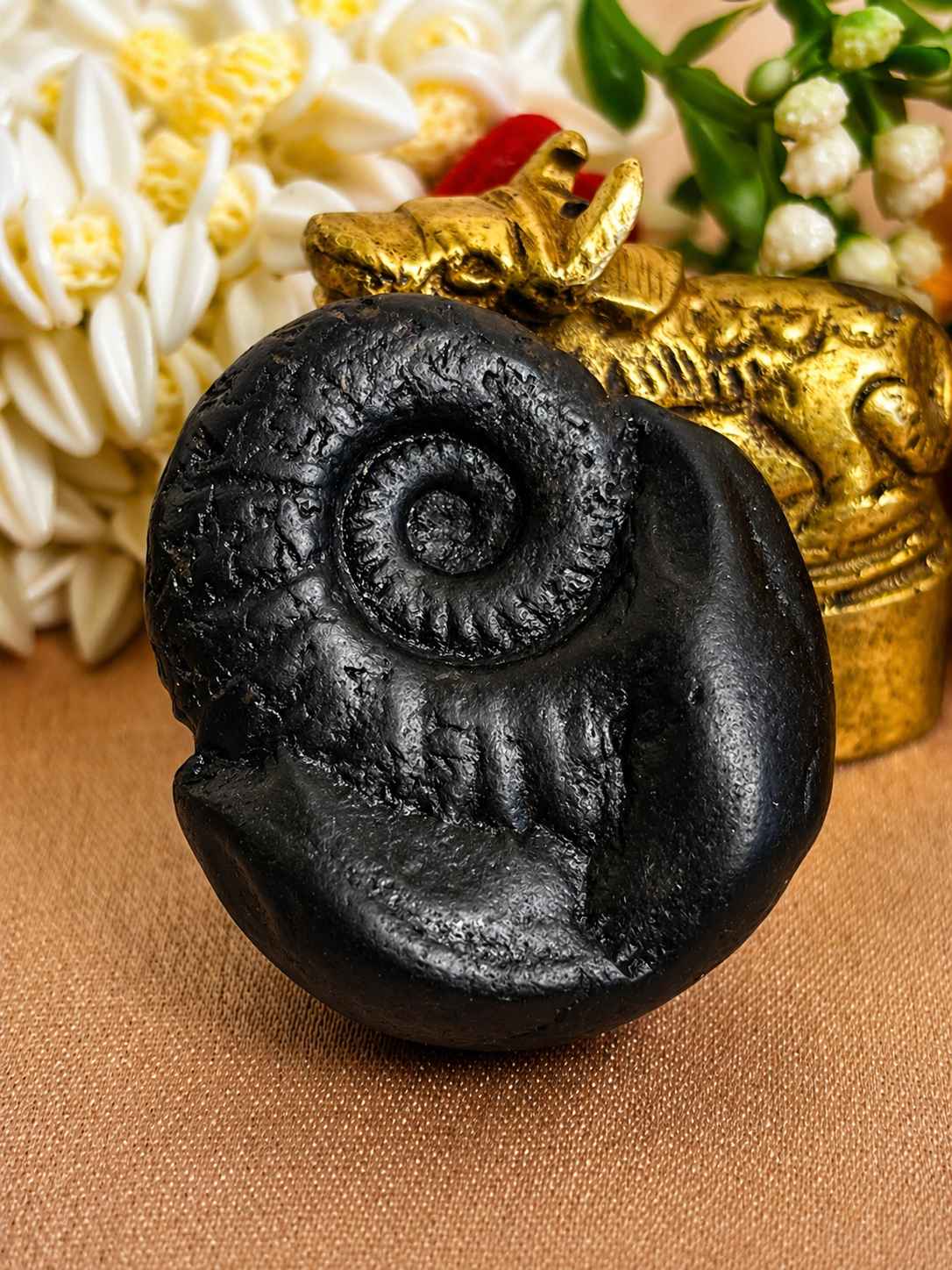Shaligram Stone Myths vs Facts: Science, Legends & Truths
