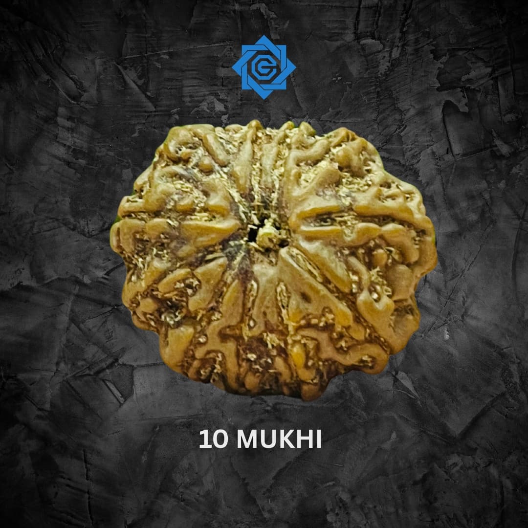 Ten Mukhi Rudraksha