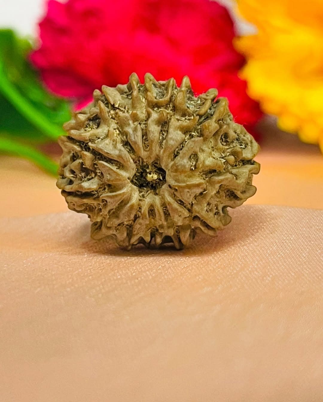 Shaligram