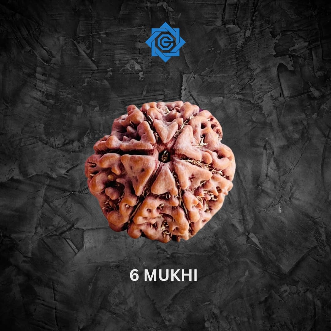 Six Mukhi Rudraksha