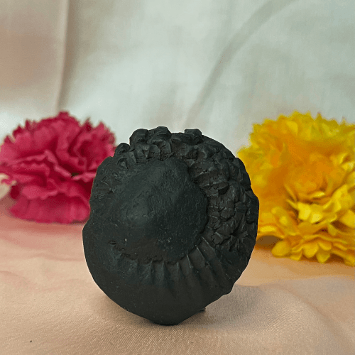 Ananta Shaligram
