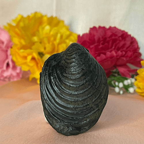 Aniruddha Shaligram