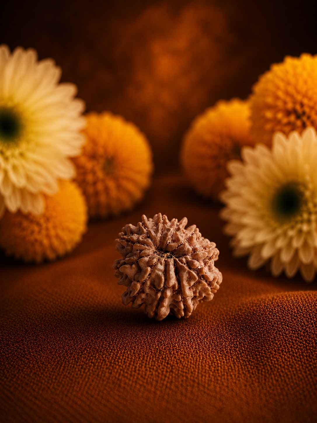 Eleven Mukhi Rudraksha