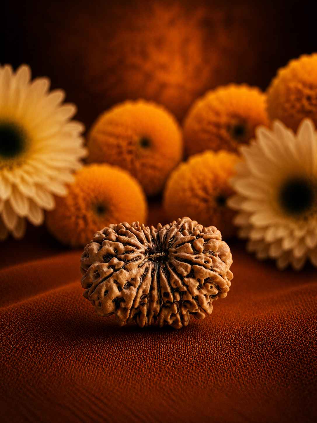 Thirteen Mukhi Rudraksha
