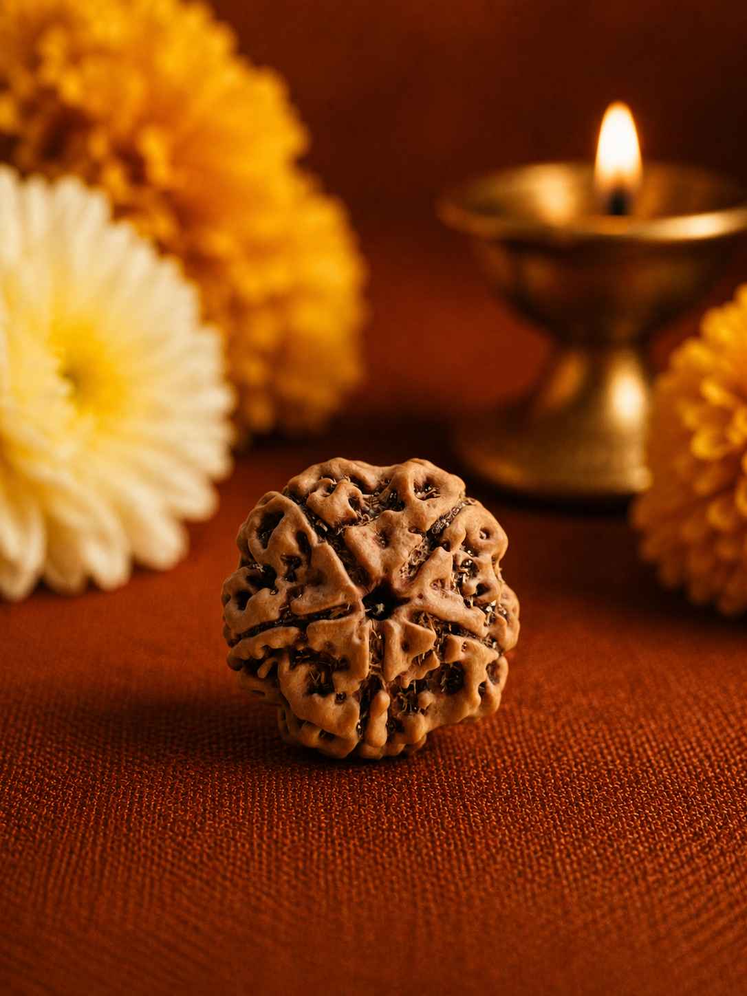 Five Mukhi Rudraksha