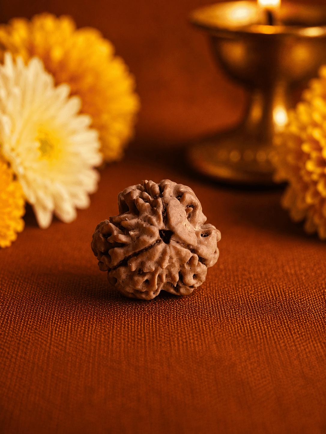 Three Mukhi Rudraksha