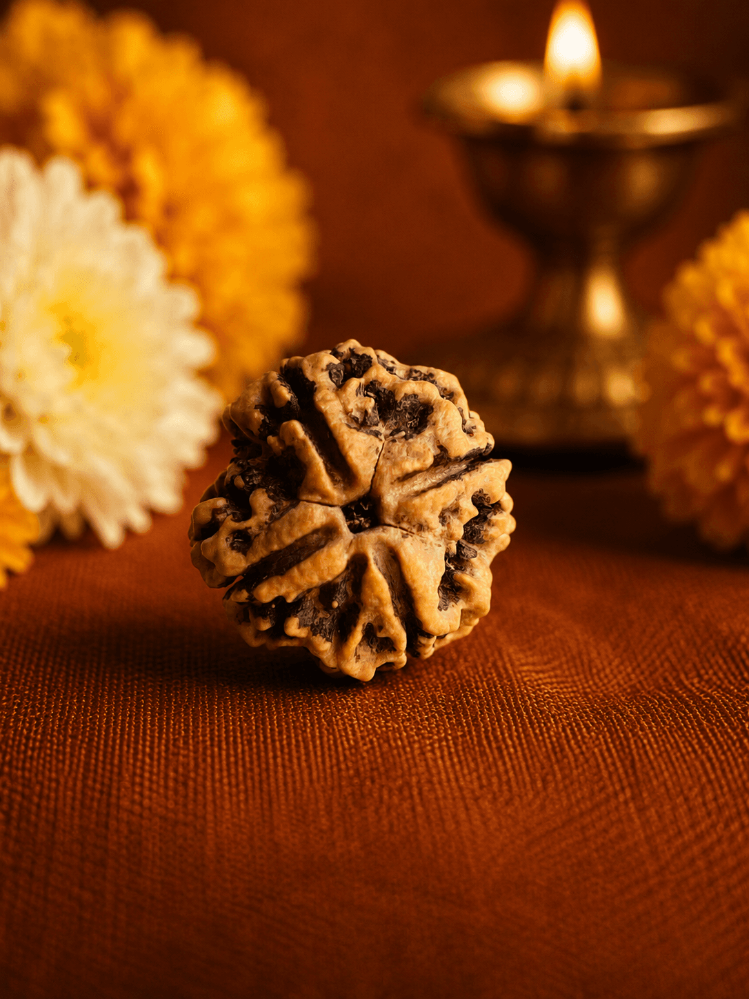 Four Mukhi Rudraksha