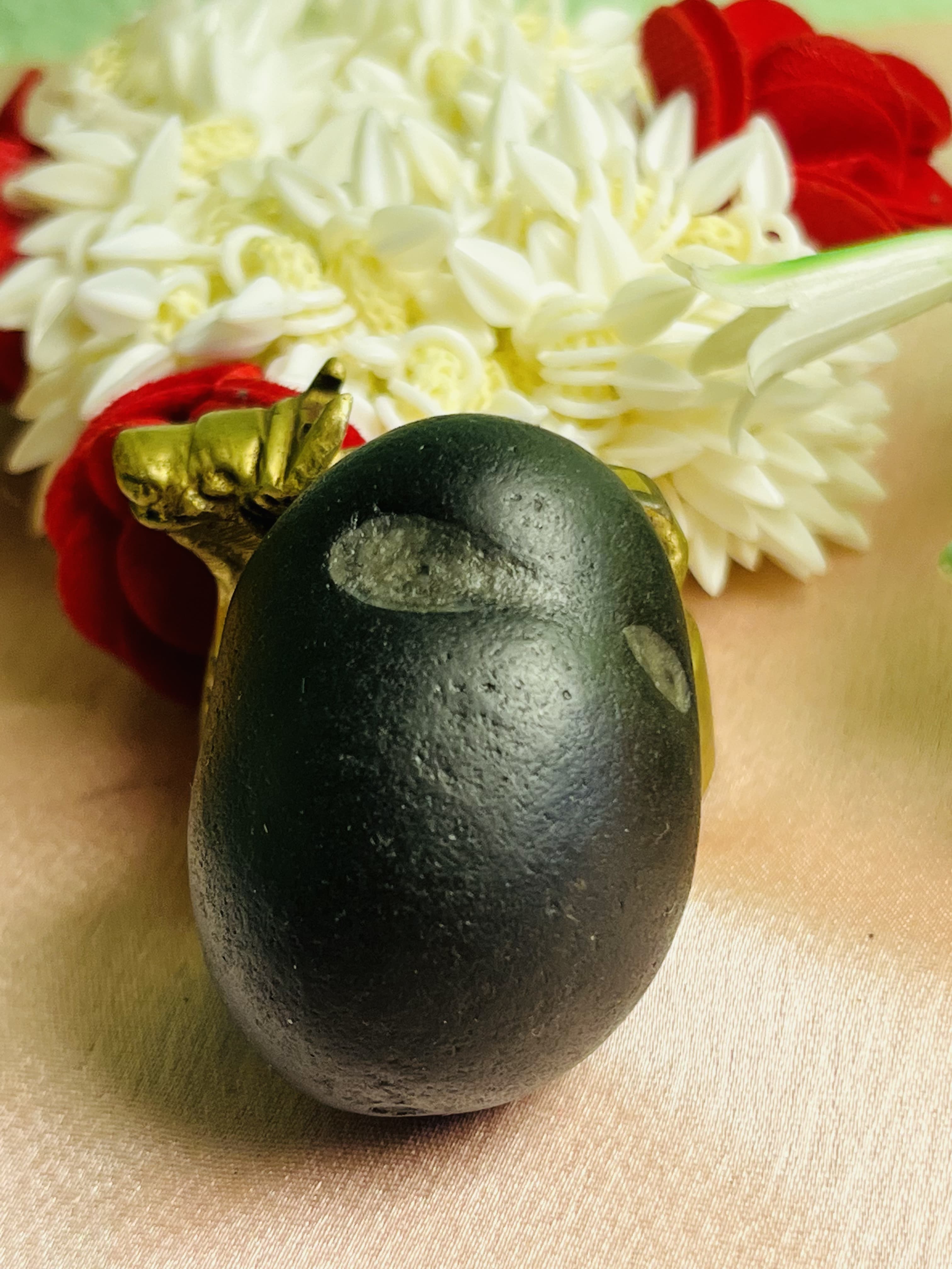 Rare and Collector Shaligram