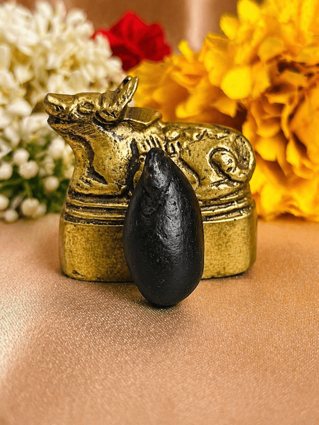 Special Divine Forms Shaligram