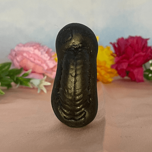 Ganesh Shaligram
