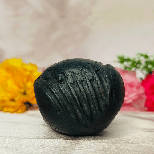 Keshava Shaligram
