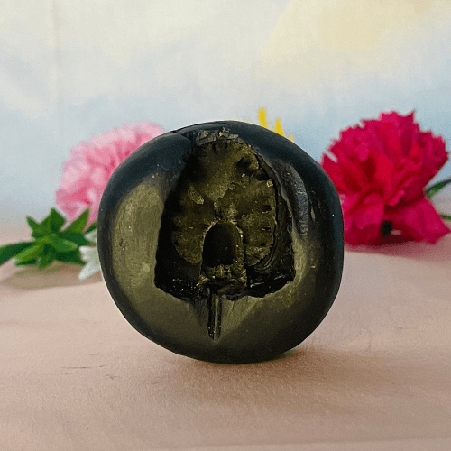 Narshima Shaligram
