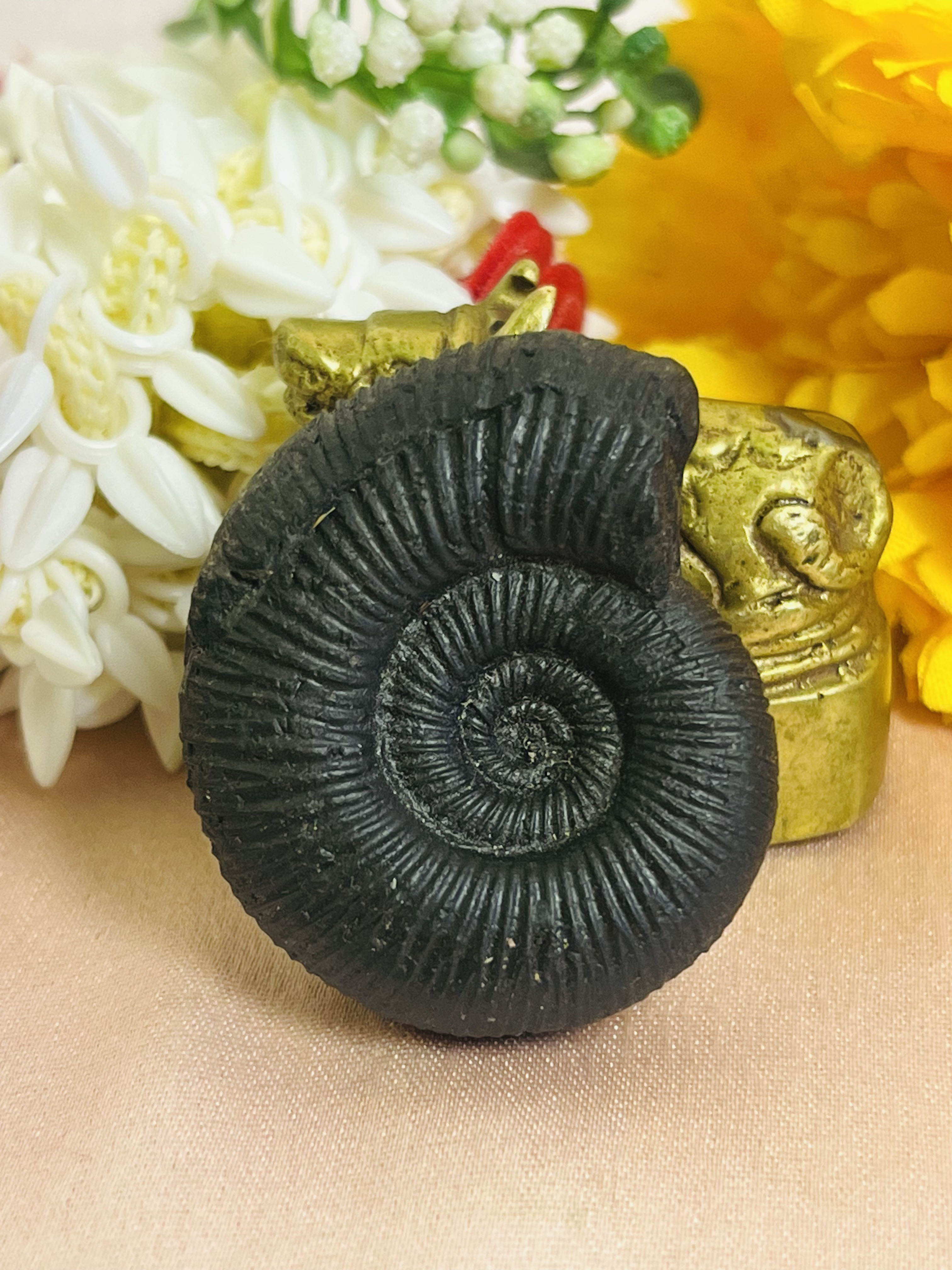 Sudarshan Shaligram