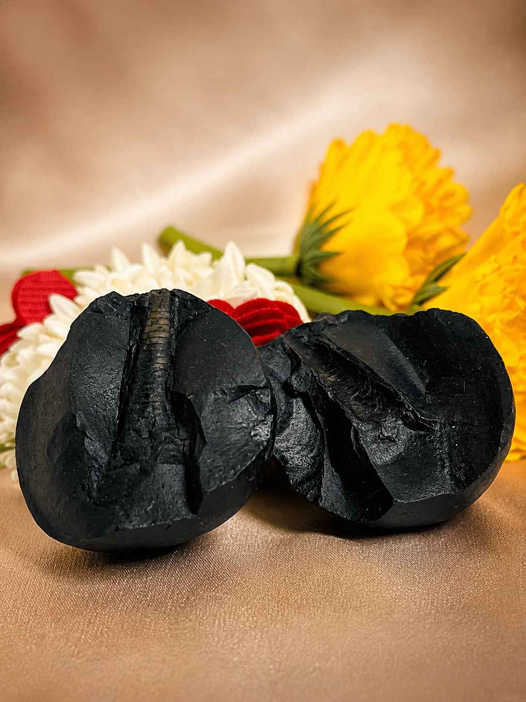 Other Deity-Associated Shaligram