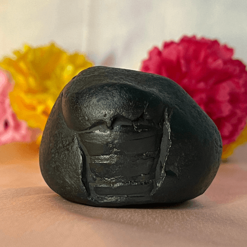 Shiva Shaligram