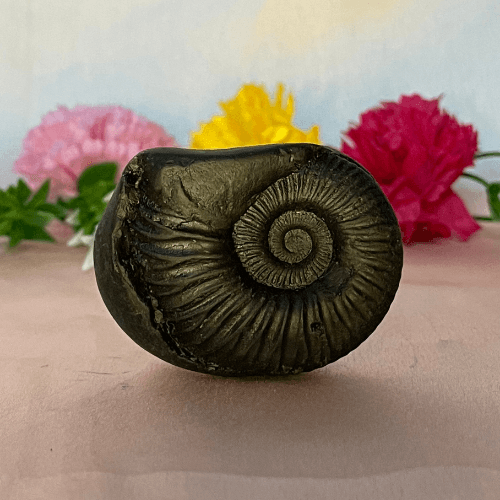 Sudarshan Kuber Shaligram