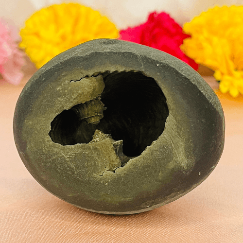 Vamana Shaligram