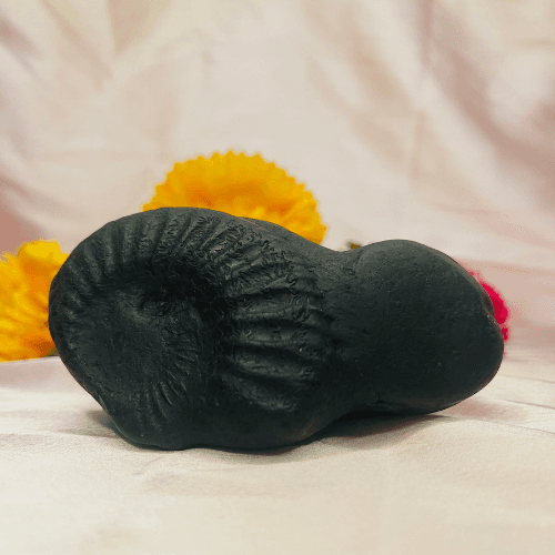 Vishnu Padhuka Shaligram