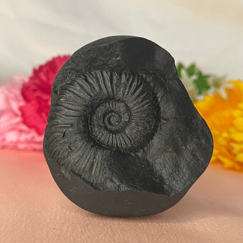 Kalki Shaligram