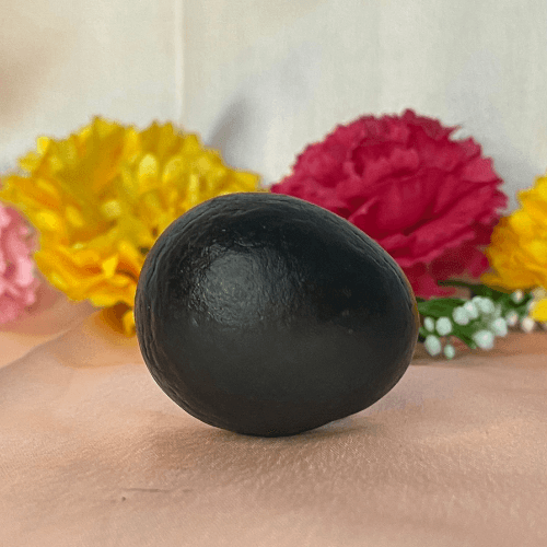 Laddu Gopal Shaligram