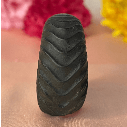 Laxmi Shaligram