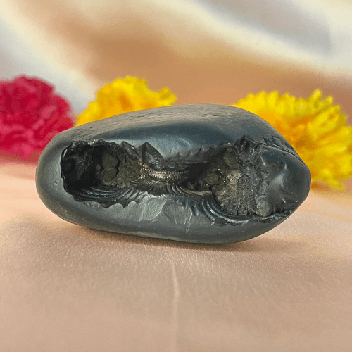 Laxmi Narshima Shaligram