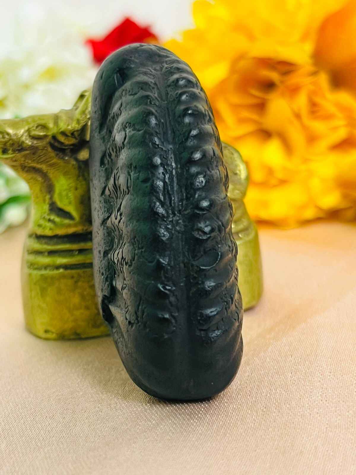Vishnu Avatar Shaligram